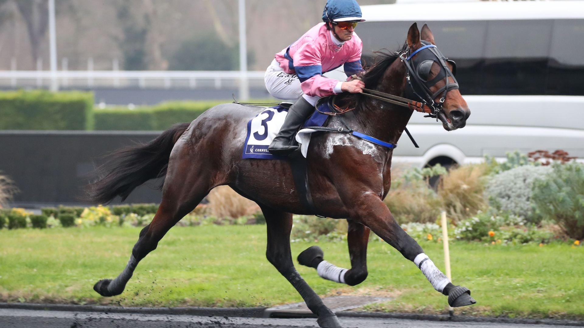 Ibiki de Houelle - ©Scoopdyga