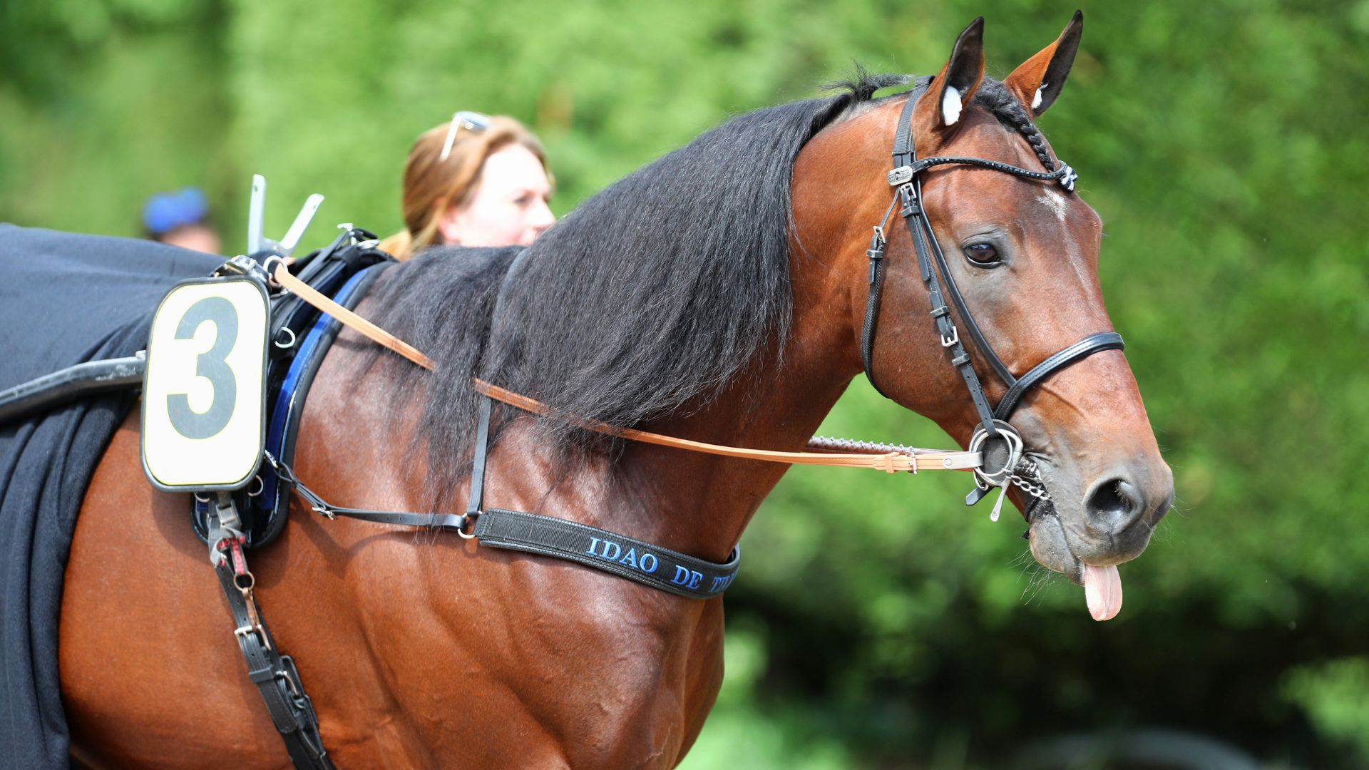 Idao de Tillard, l'air malicieux - ©Aprh