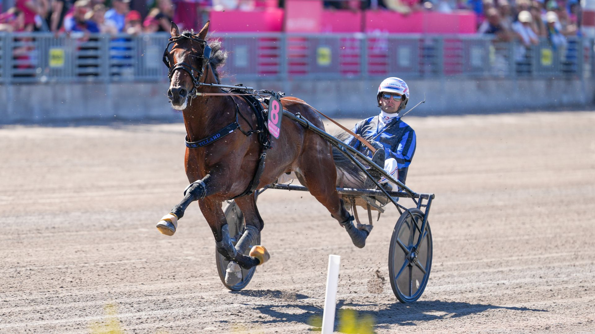 Idao de Tillard - ©TR-Media