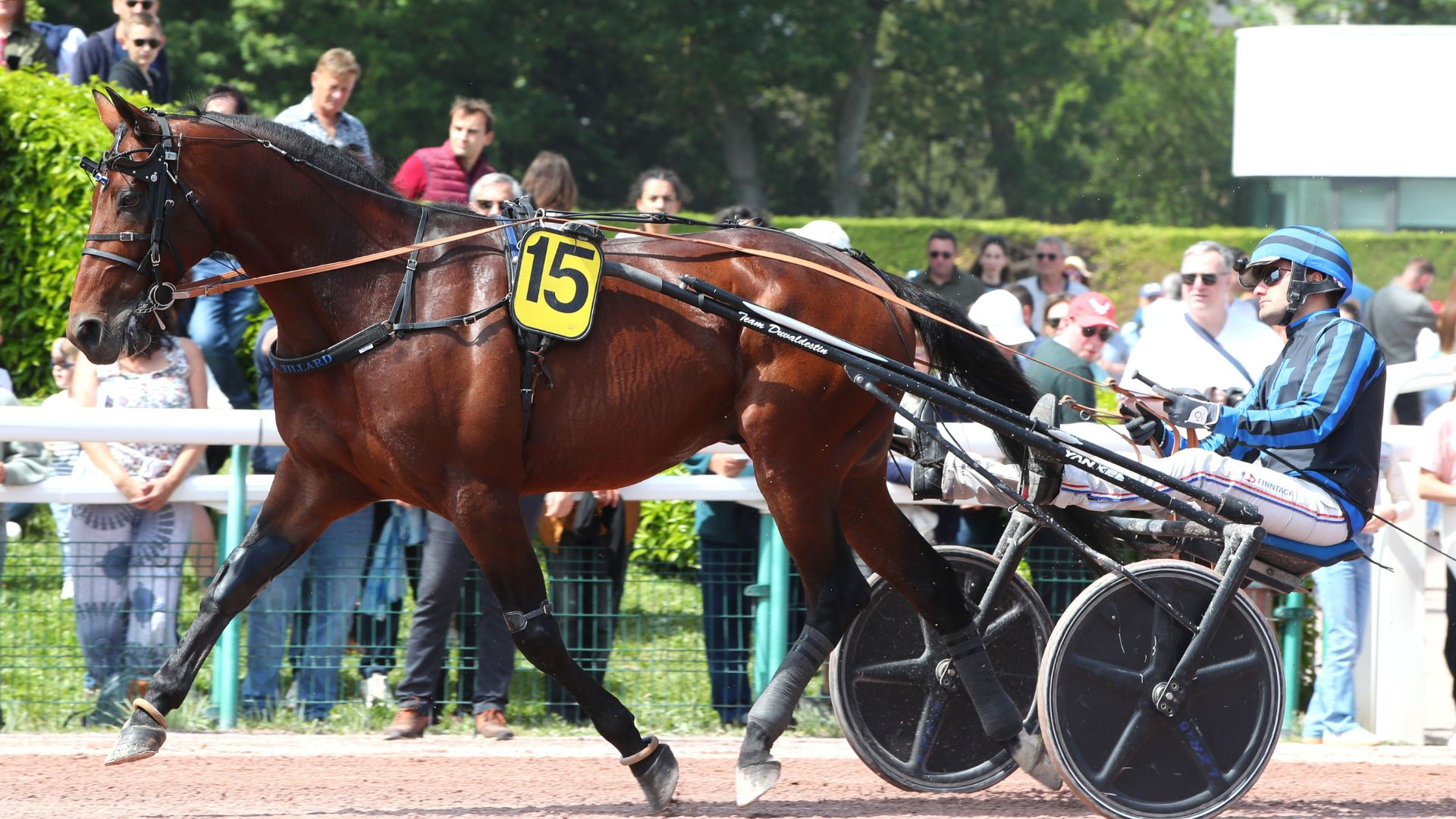 ©ScoopDyga