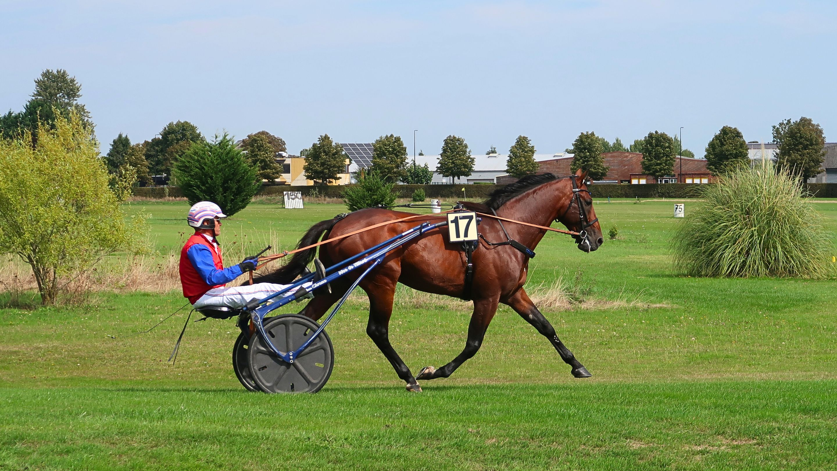 Idao de Tillard