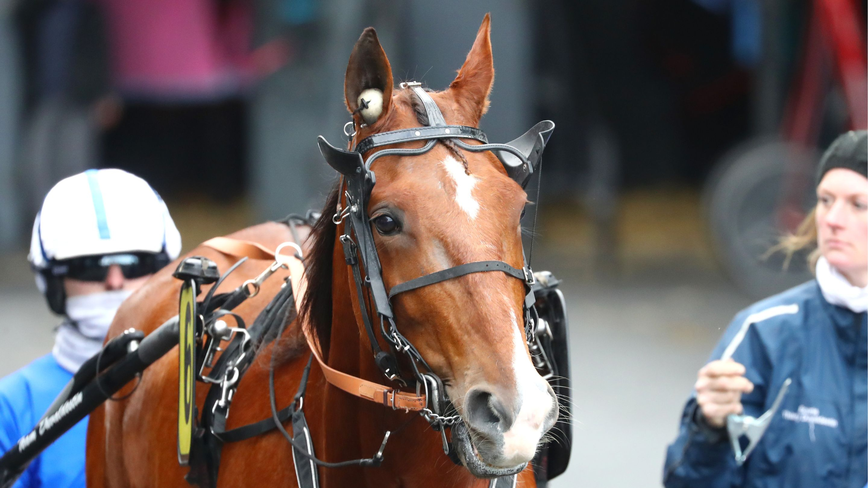 Idéal du Rocher - © Aprh