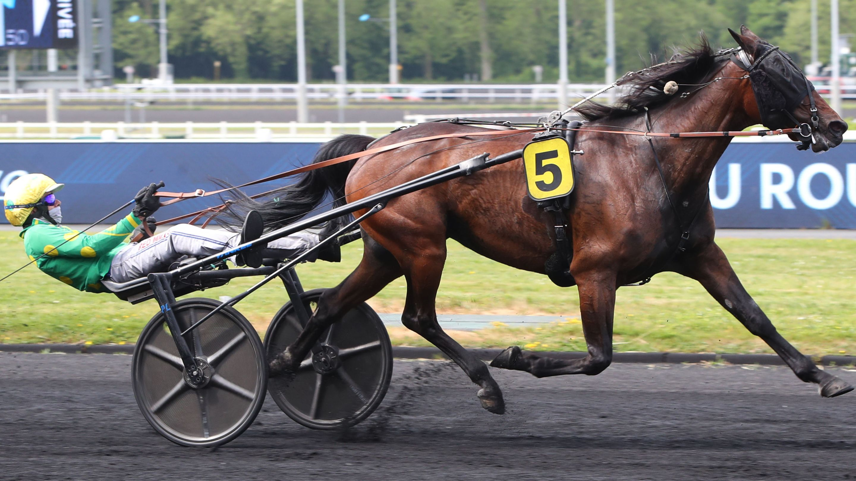 Idylle Exprees s'impose dans un chrono remarquable - © Aprh