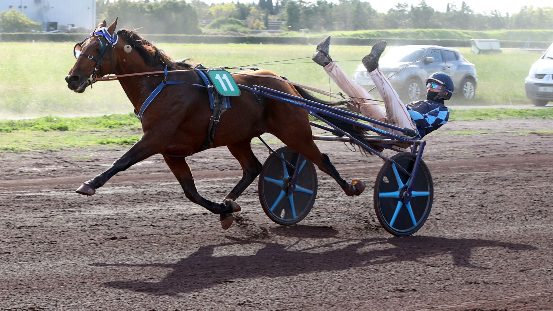 Igrec de Celland lors de son succès l'an dernier à Salon - © Ag. Couleur Casaques