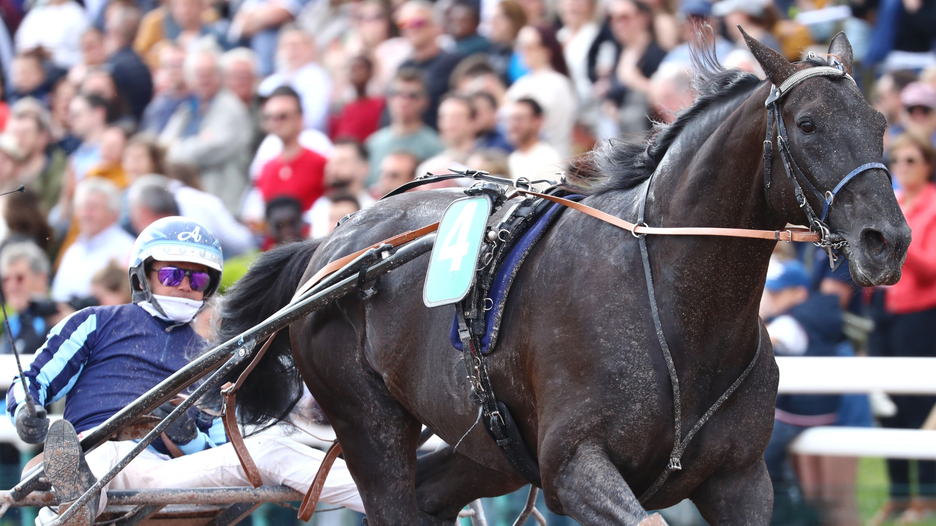 Iguski Sautonne - ©Aprh