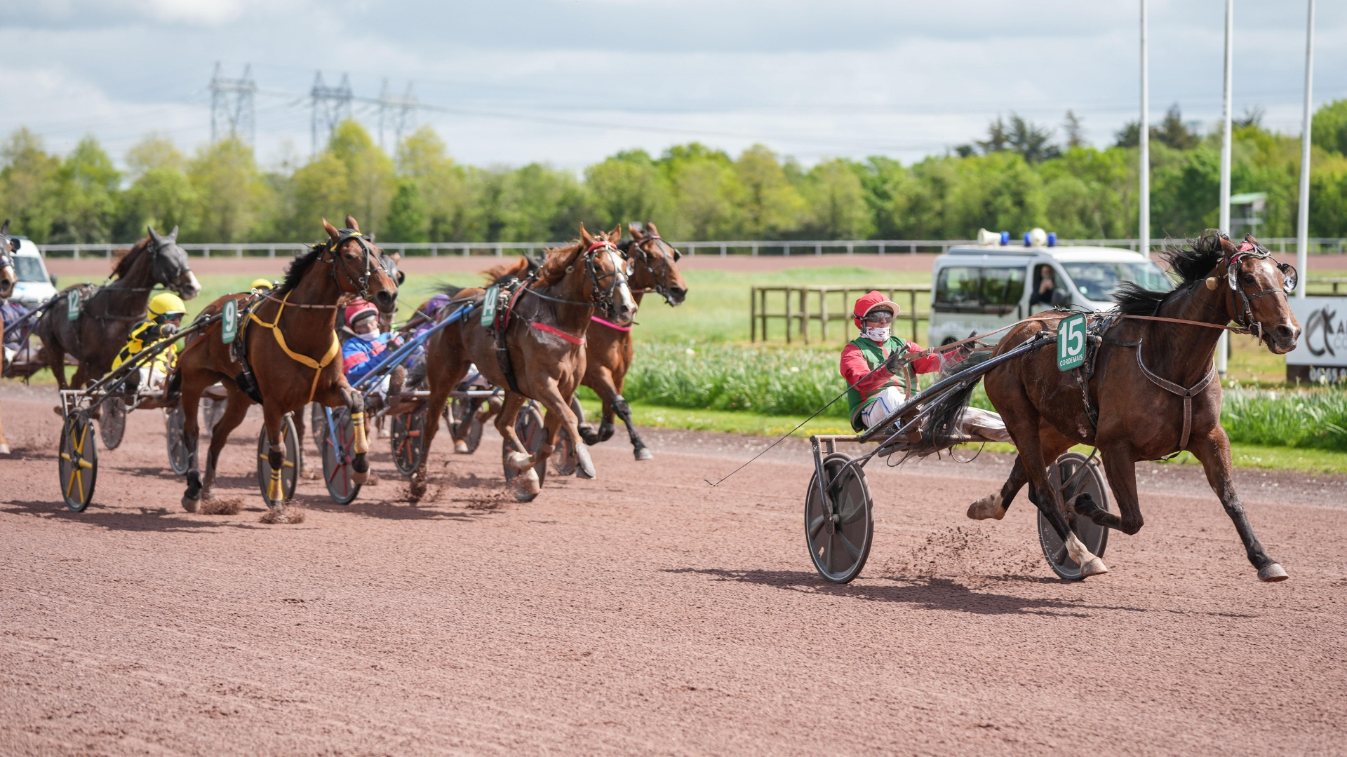 Ileo Pierji, le vainqueur du Quinté+ du jour - © Aprh