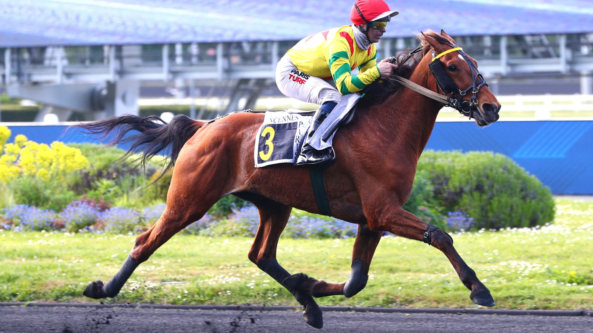 Impala de Val, gagnant du Prix Théophile Lallouet 2025 - © ScoopDyga