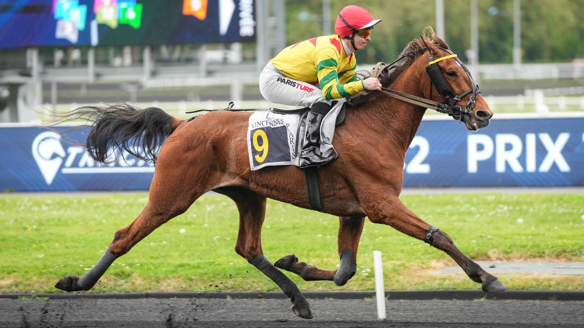 Impala de Val seul en piste - © ScoopDyga