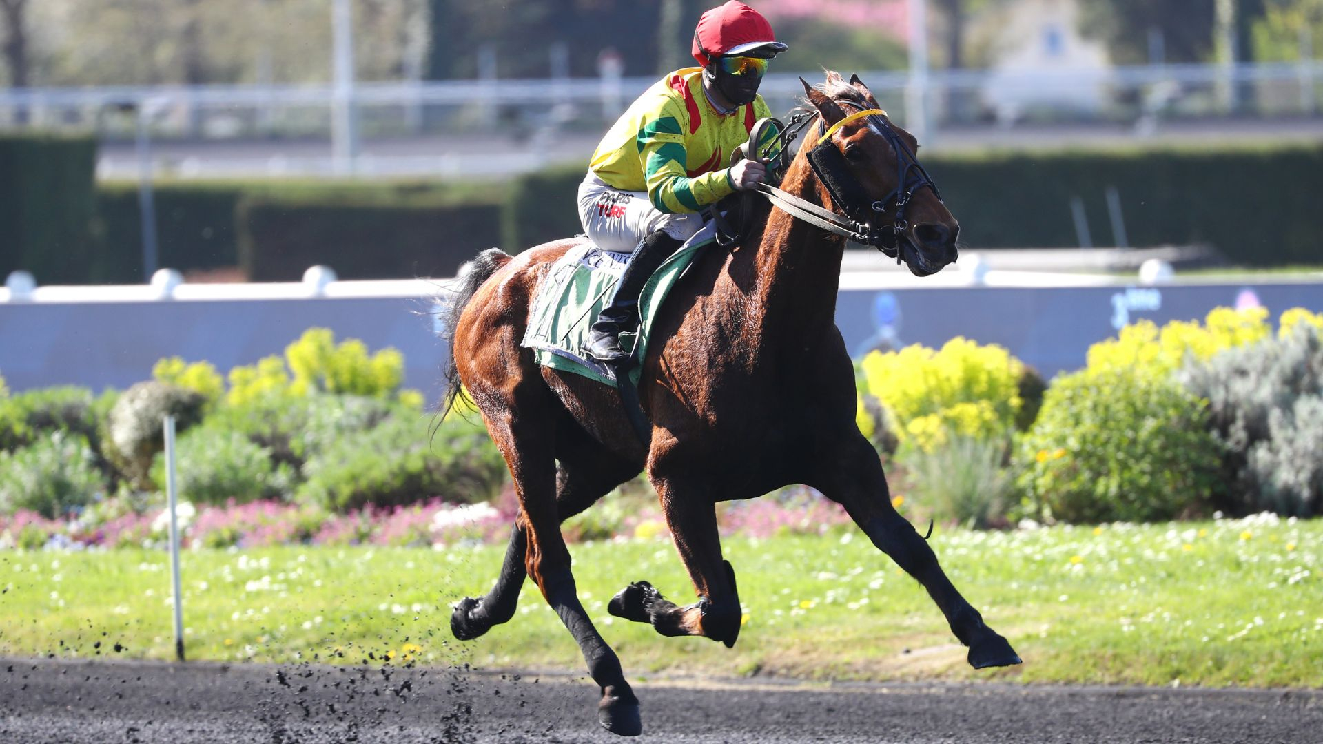 Impala de Val lors de son dernier succès - © Aprh