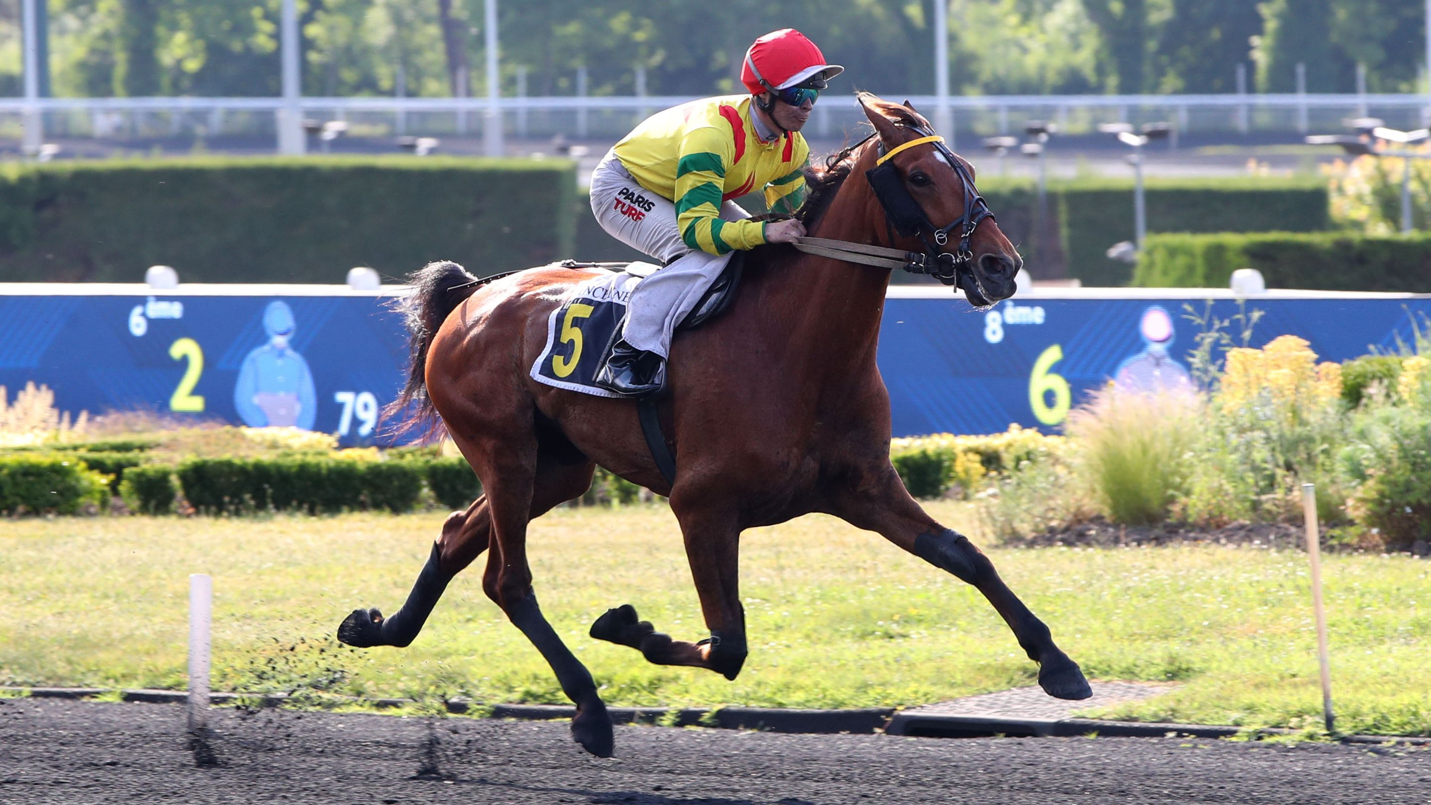 Impala de Val, le tenant du titre du Prix Louis Sauvé - © Aprh