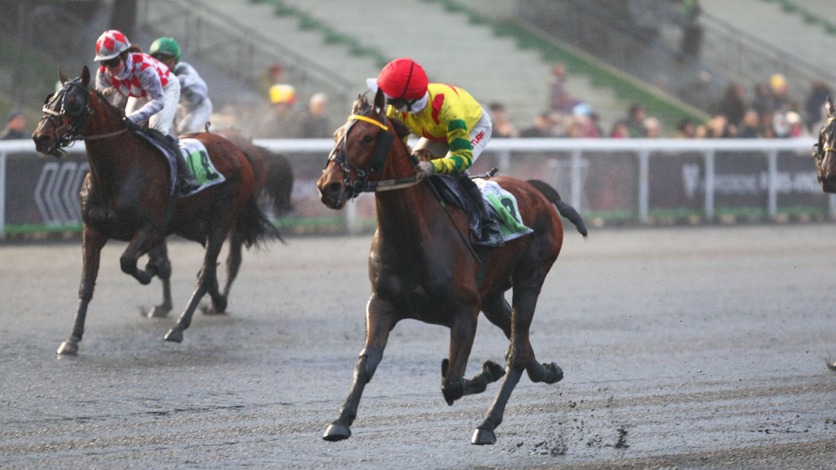 Impala de Val devant Filou d'Anjou - © ScoopDyga