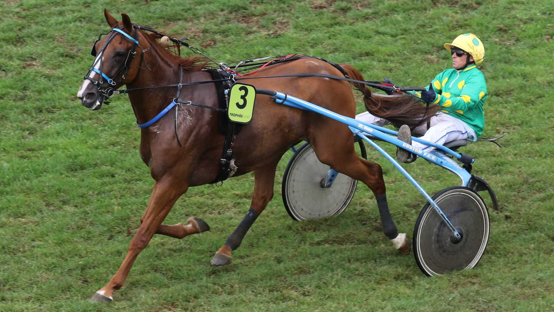 ©F. Diehl - Imperator d'Ela lors de son succès dans le Trophée Vert à Montier-en-Der