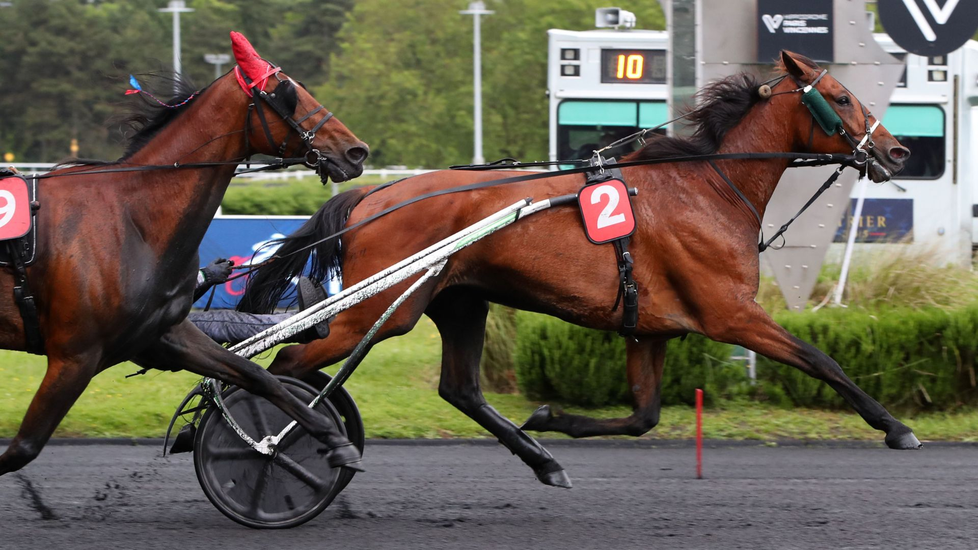 Indigo de Fontaine tient en respect Isofou du Chêne - © Aprh