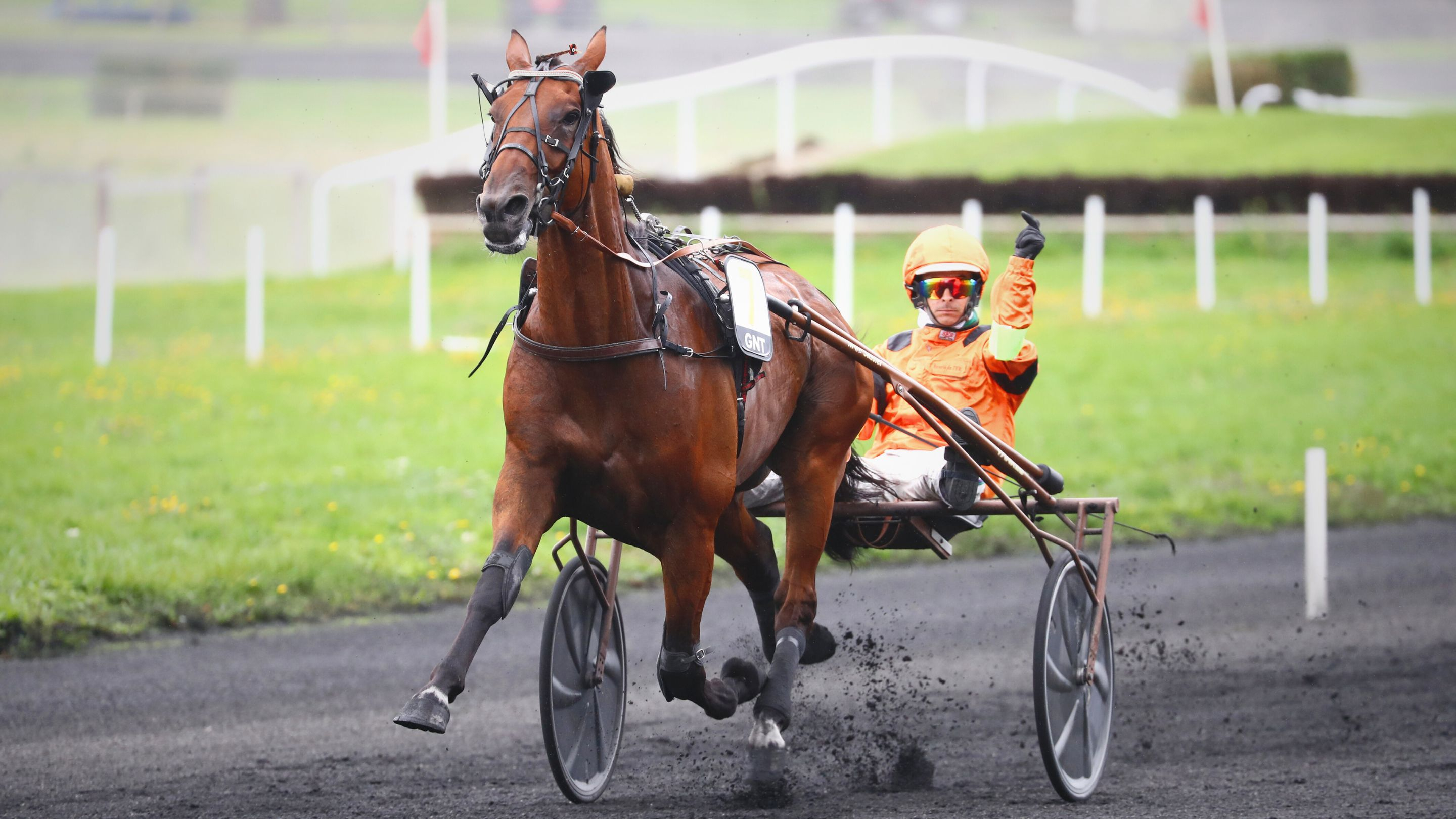Indy de Jyr à Meslay-du-Maine - © Aprh