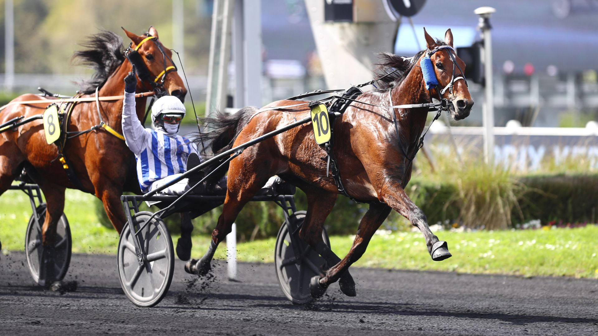 Inexess Bleu - ©Aprh