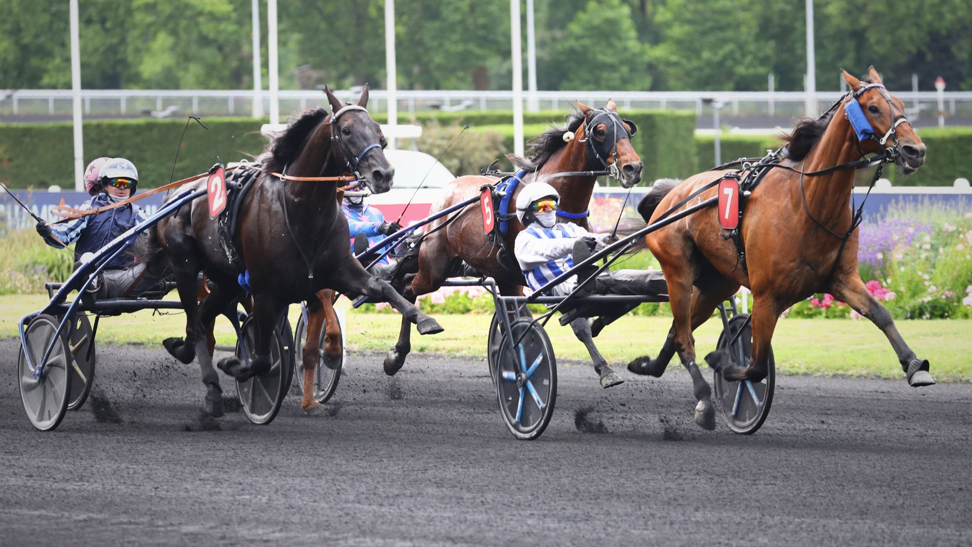 Inexess Bleu - Iguski Sautonne