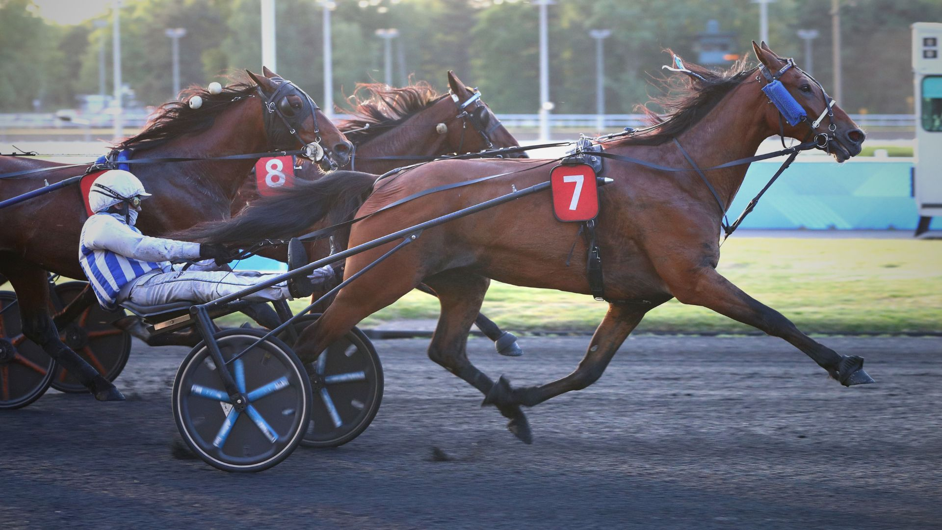 Inexess Bleu - ©Scoopdyga