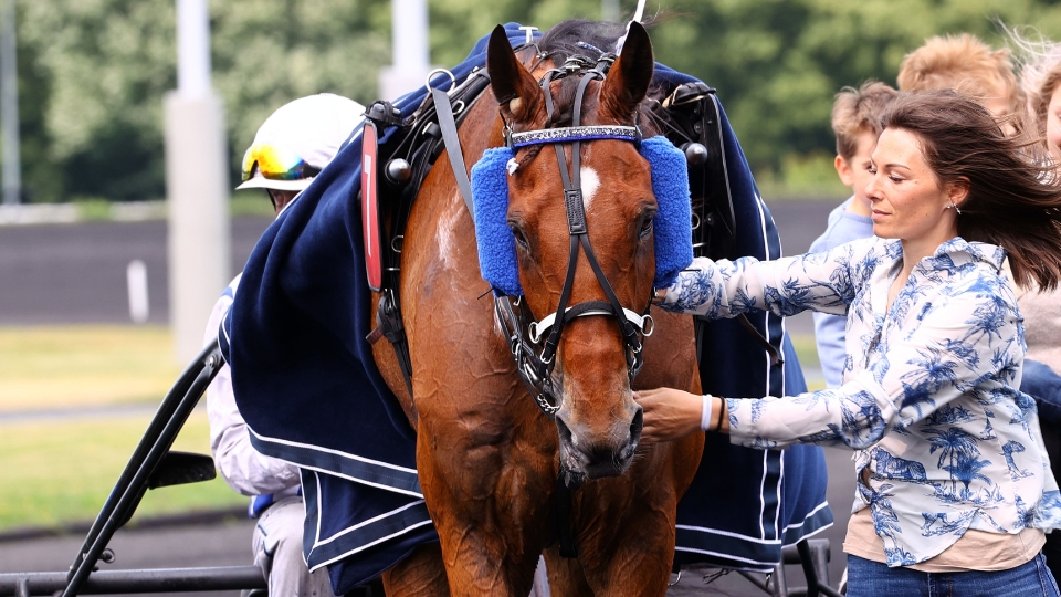 Inexess Bleu - © ScoopDyga