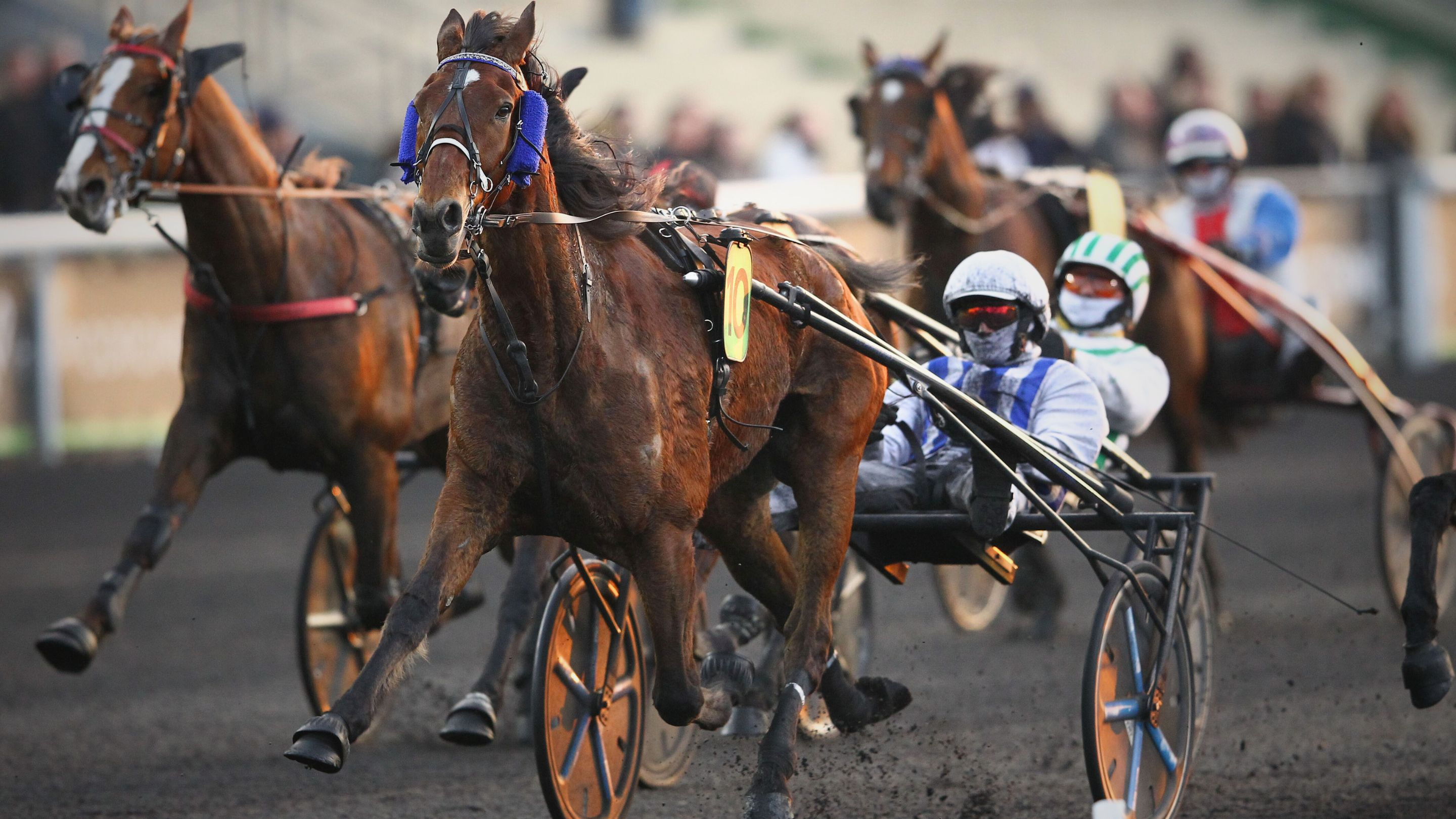 Inexess Bleu - © Aprh