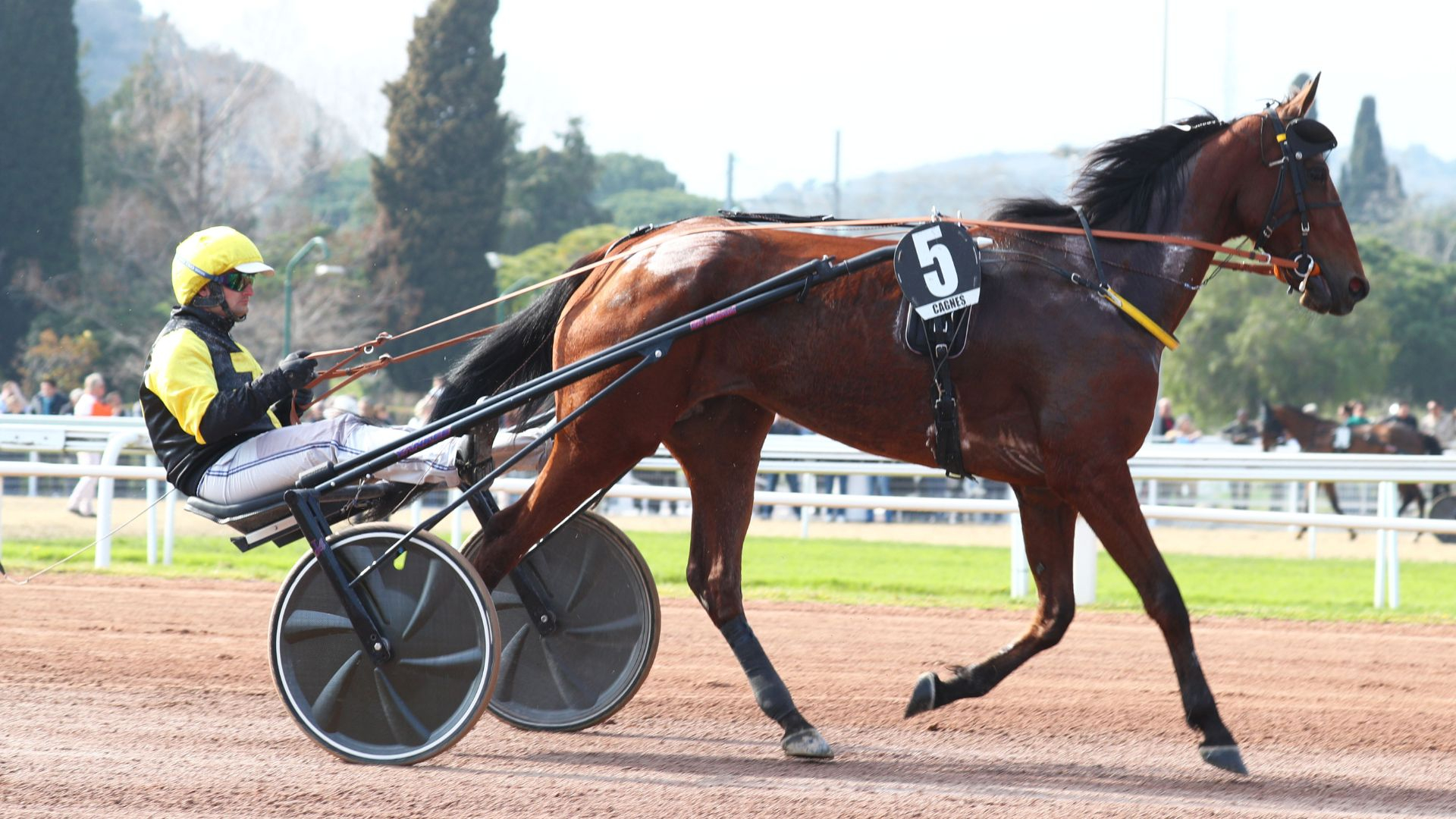 Inmarosa, actuelle leader de l'UET Elite Circuit - ©Aprh