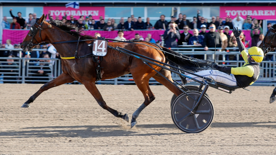 Inmarosa à Solvalla - © P. Lefaucheux/PC