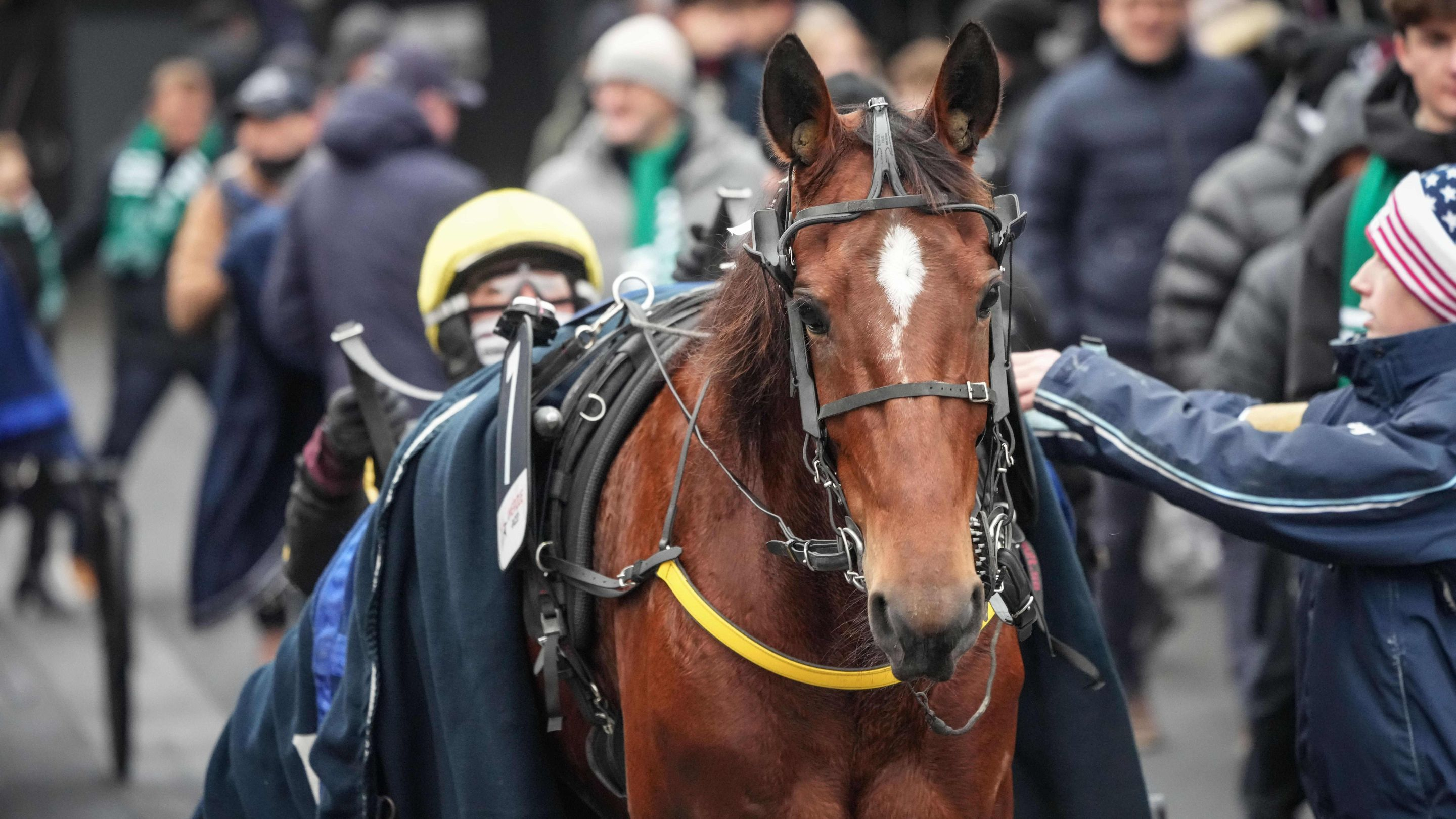 Inmarosa - © ScoopDyga