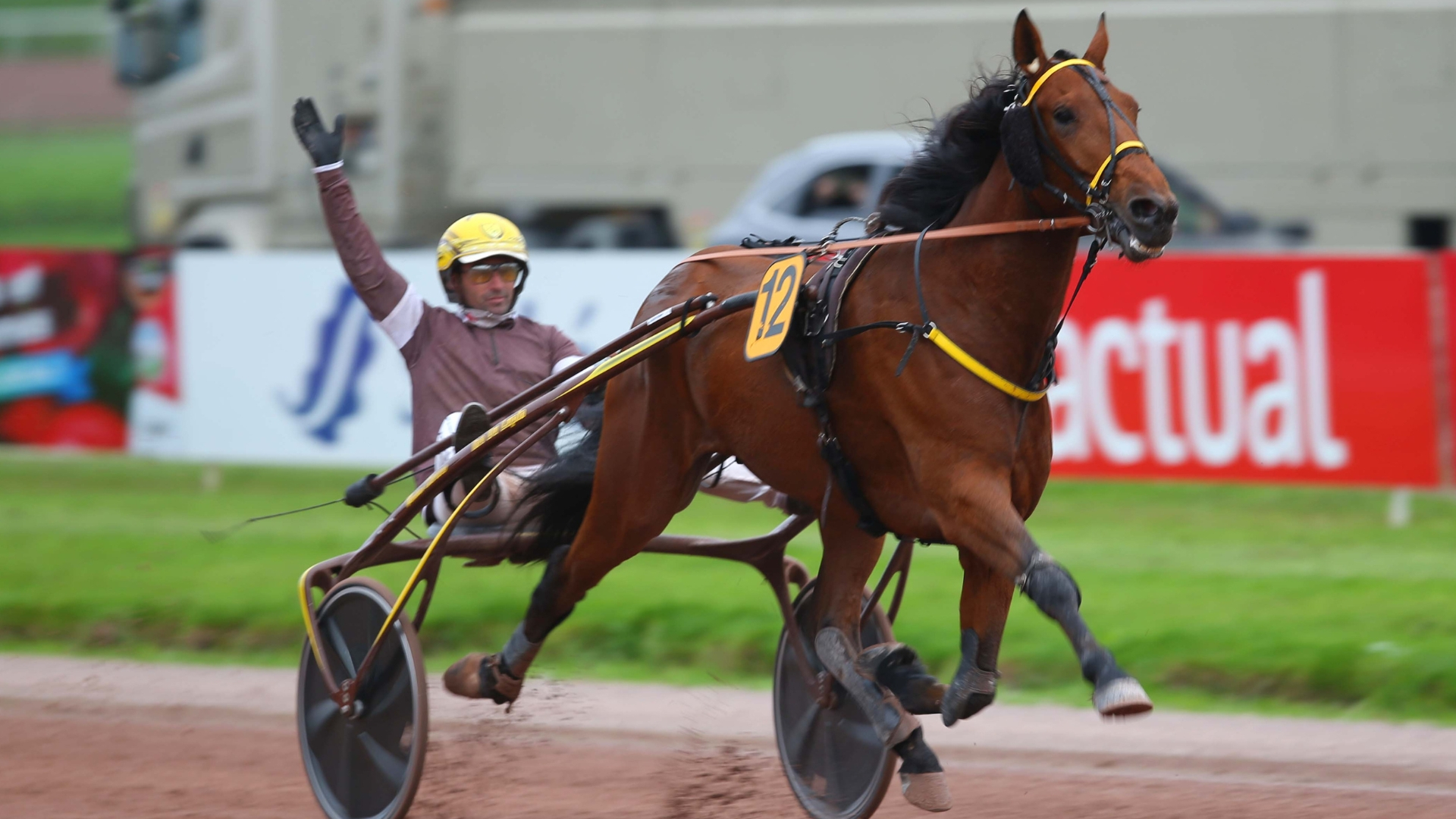 Ino du Lupin lors d'une victoire à Laval - © Aprh