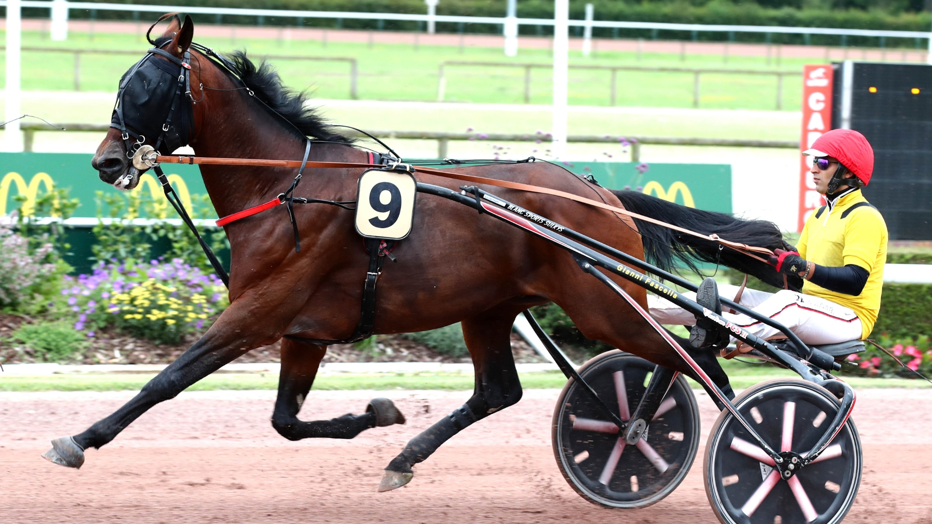 Instrumentaliste - © ScoopDyga