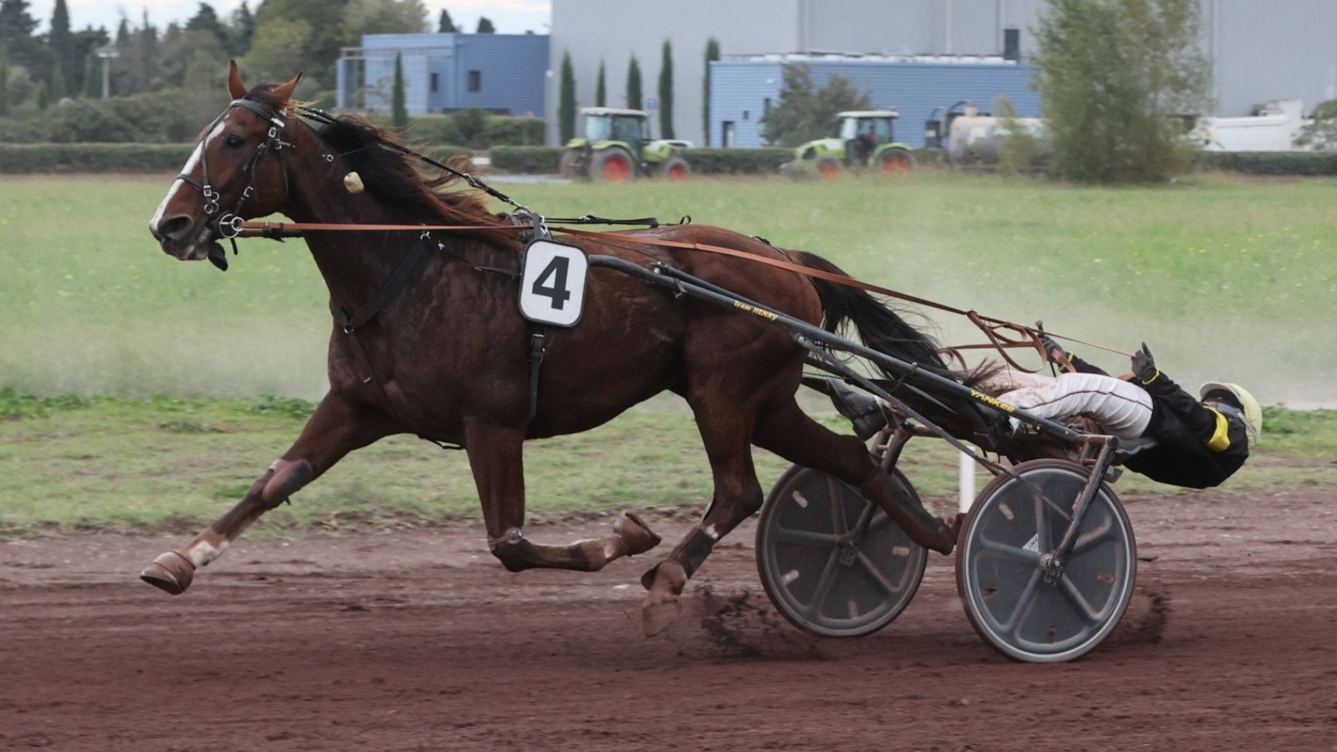 Ipson du Vernay, vainqueur de l'épeuve principale - © Ag. Couleur Casaques
