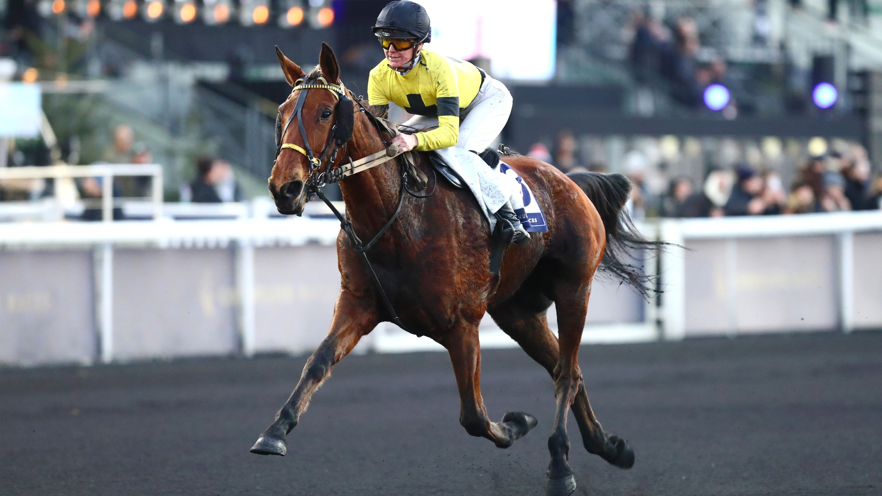 Islamorada - © Aprh