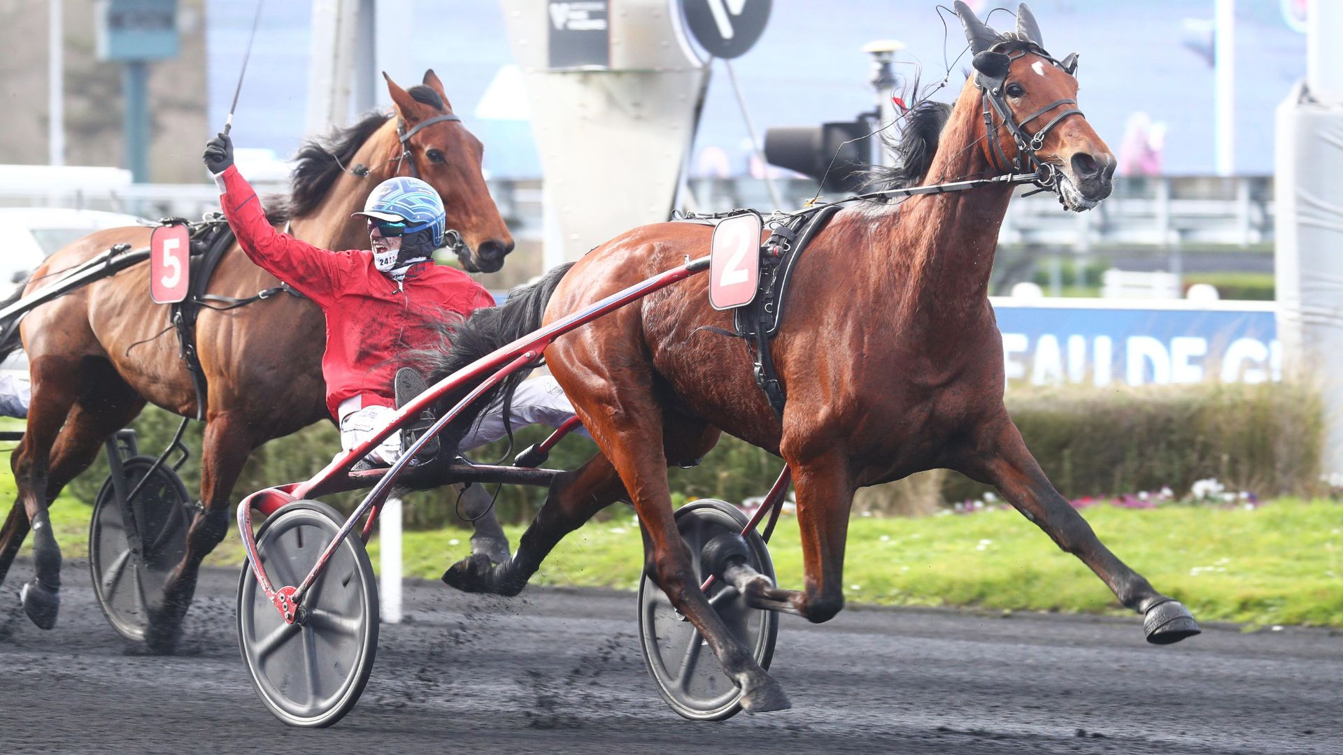 Isofou du Chêne - ©Scoopdyga