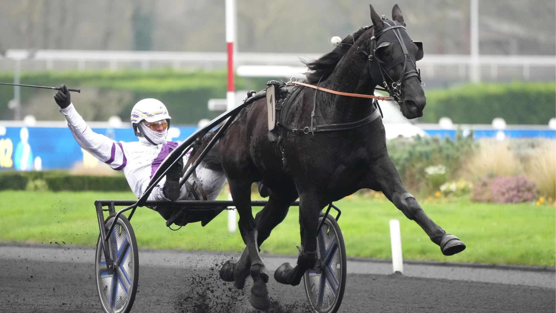 La brillante victoire d'Issi Top - © Aprh