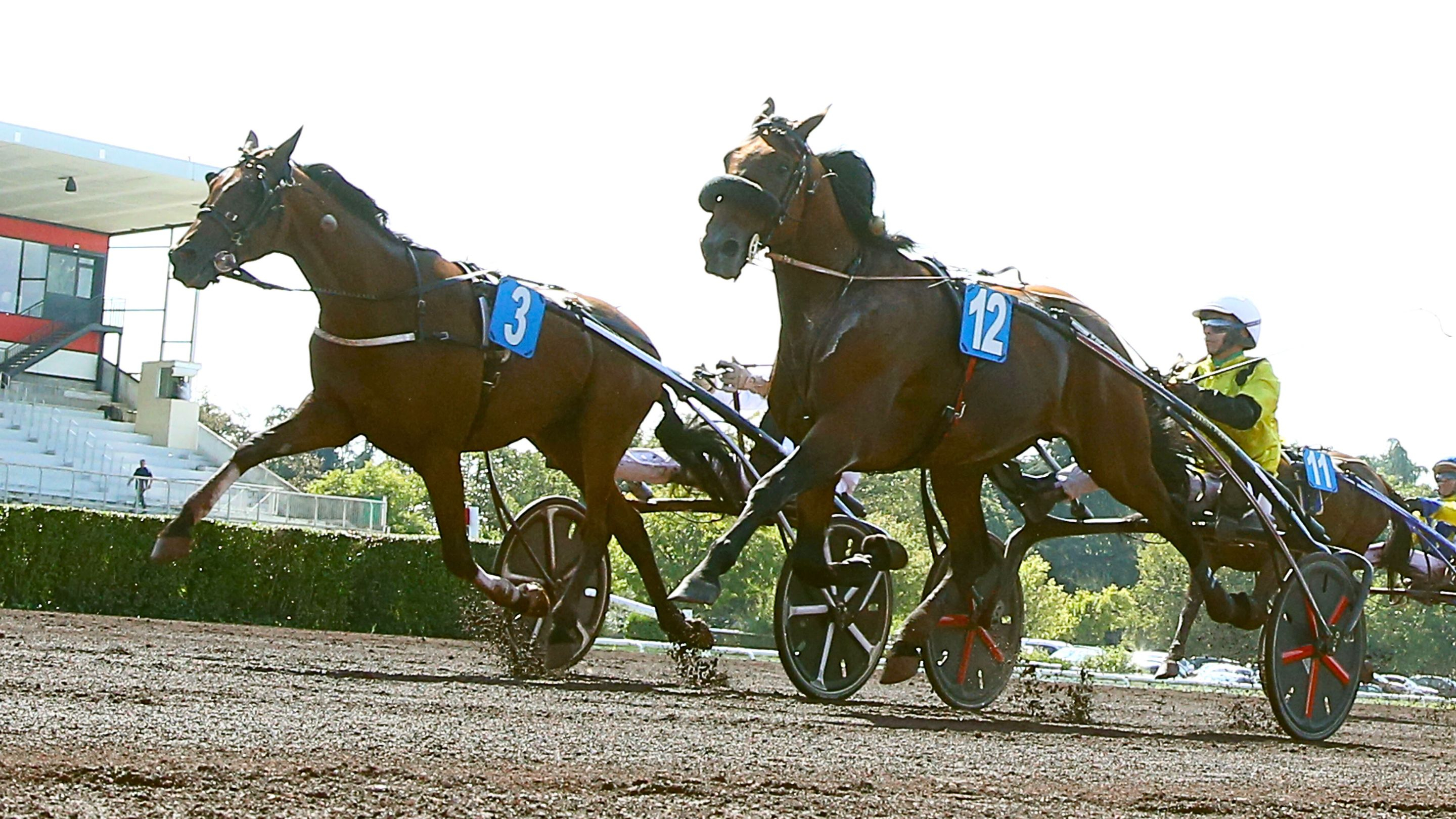 Inato Pierji - It's A Dollarmaker