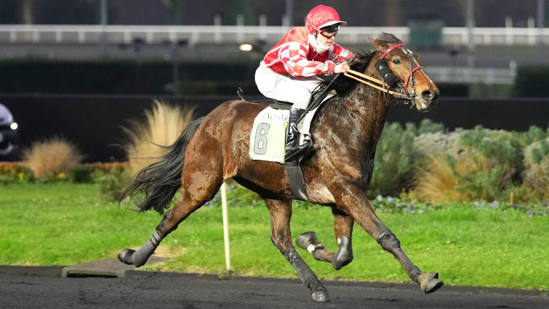 Ivorino d'Echal - ©ScoopDyga