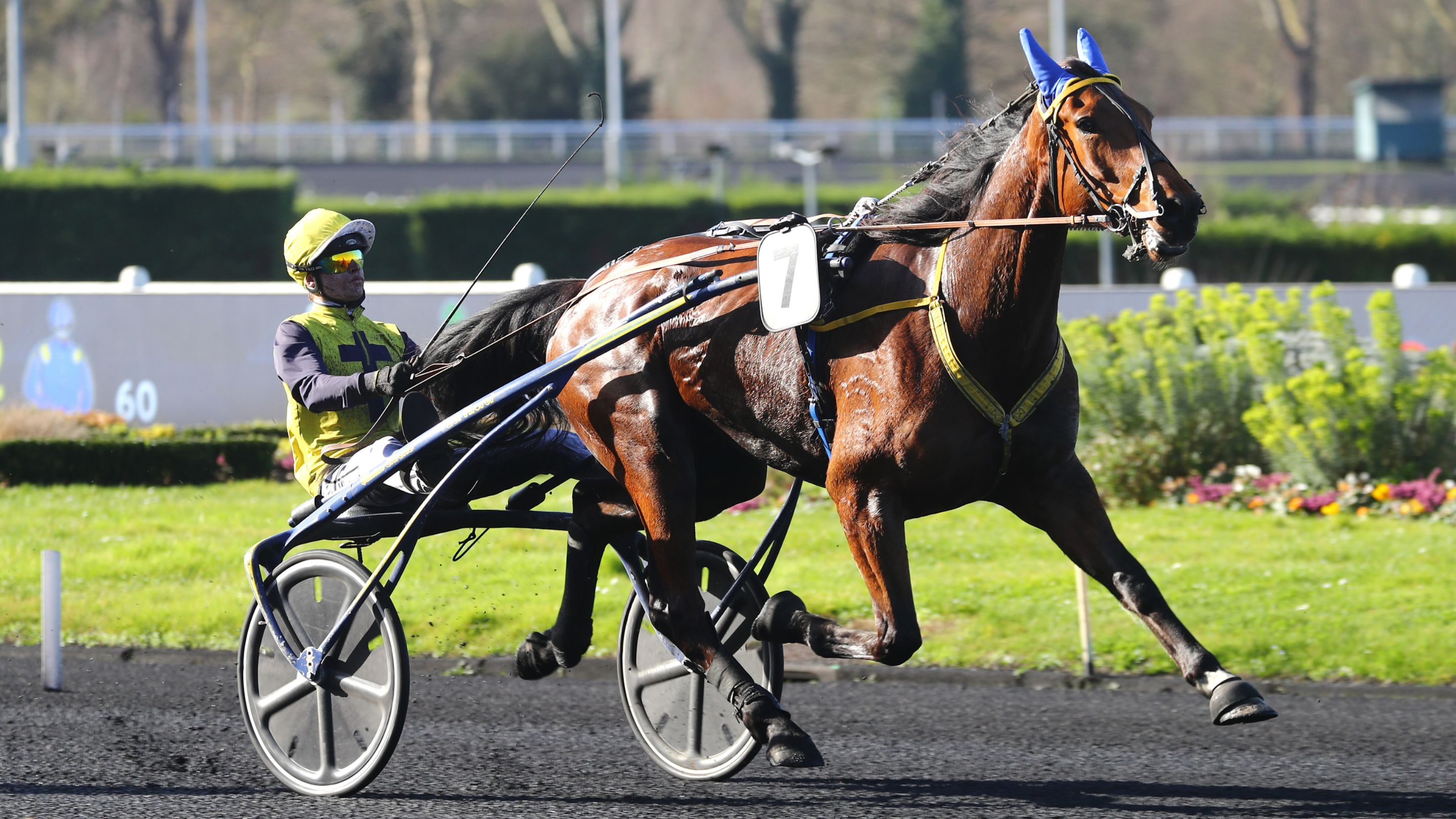 Victoire à Vincennes avec Malium - © Aprh