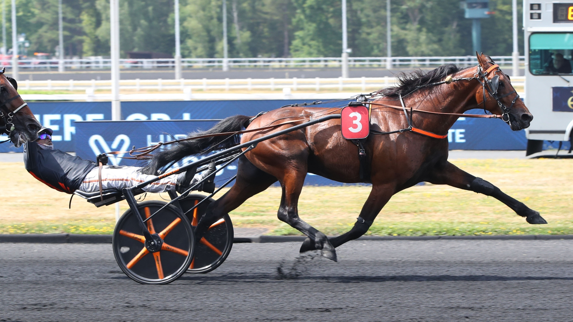 Jabalpur a hérité d'une place en seconde ligne à Turin - © Aprh