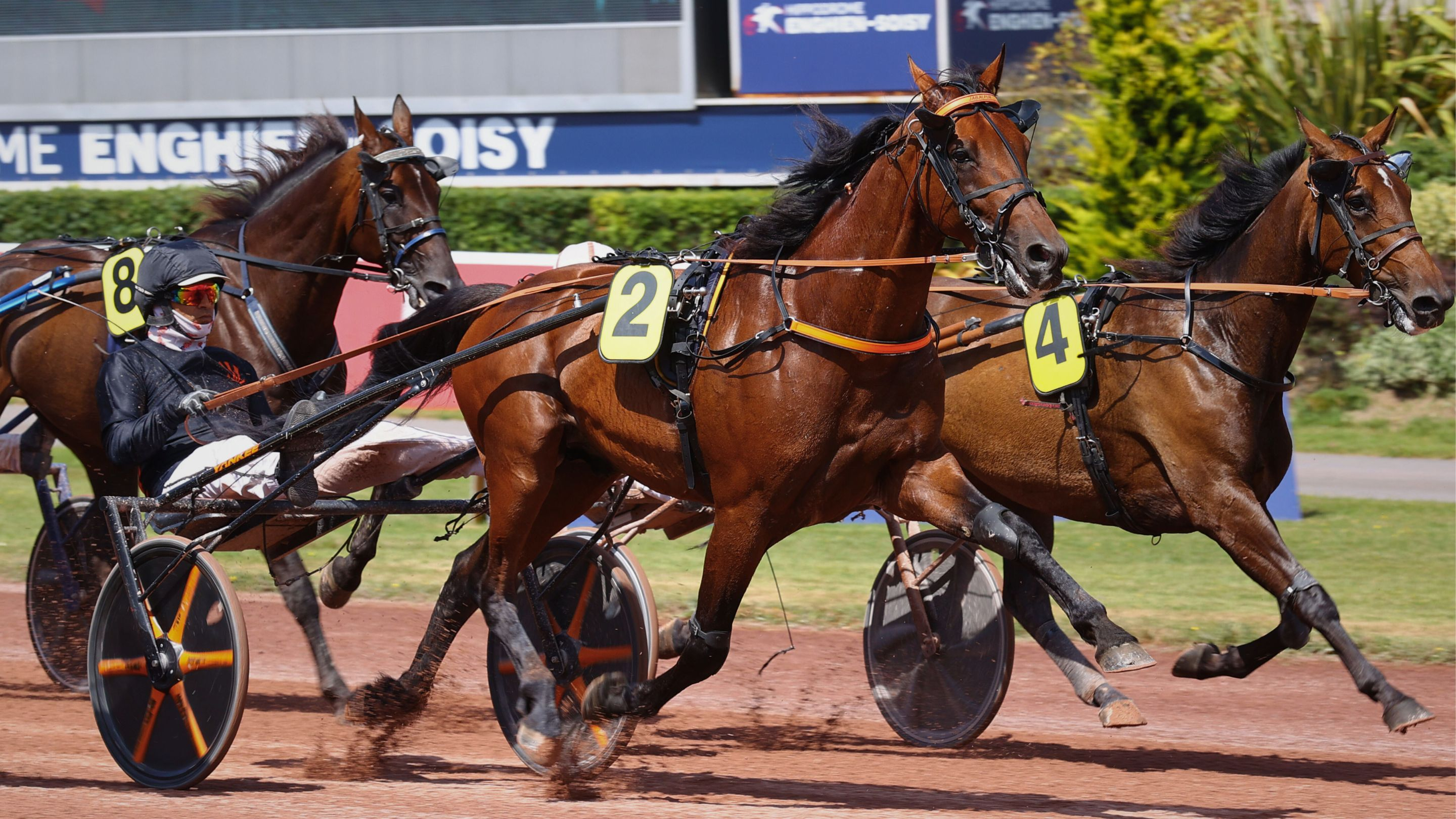 Jabalpur à Enghien cet été - © Aprh
