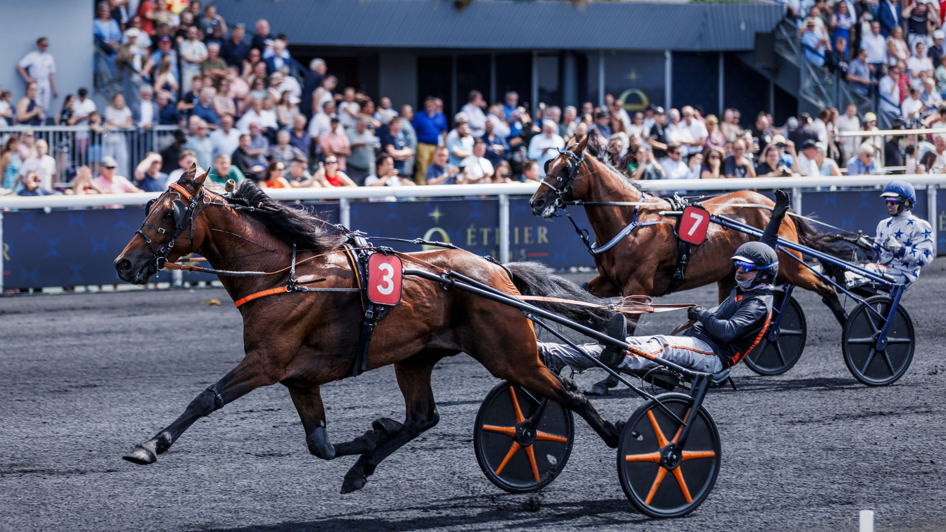 Jabalpur lors de son succès dans le Prix René Ballière - © B. Vandevelde/SETF