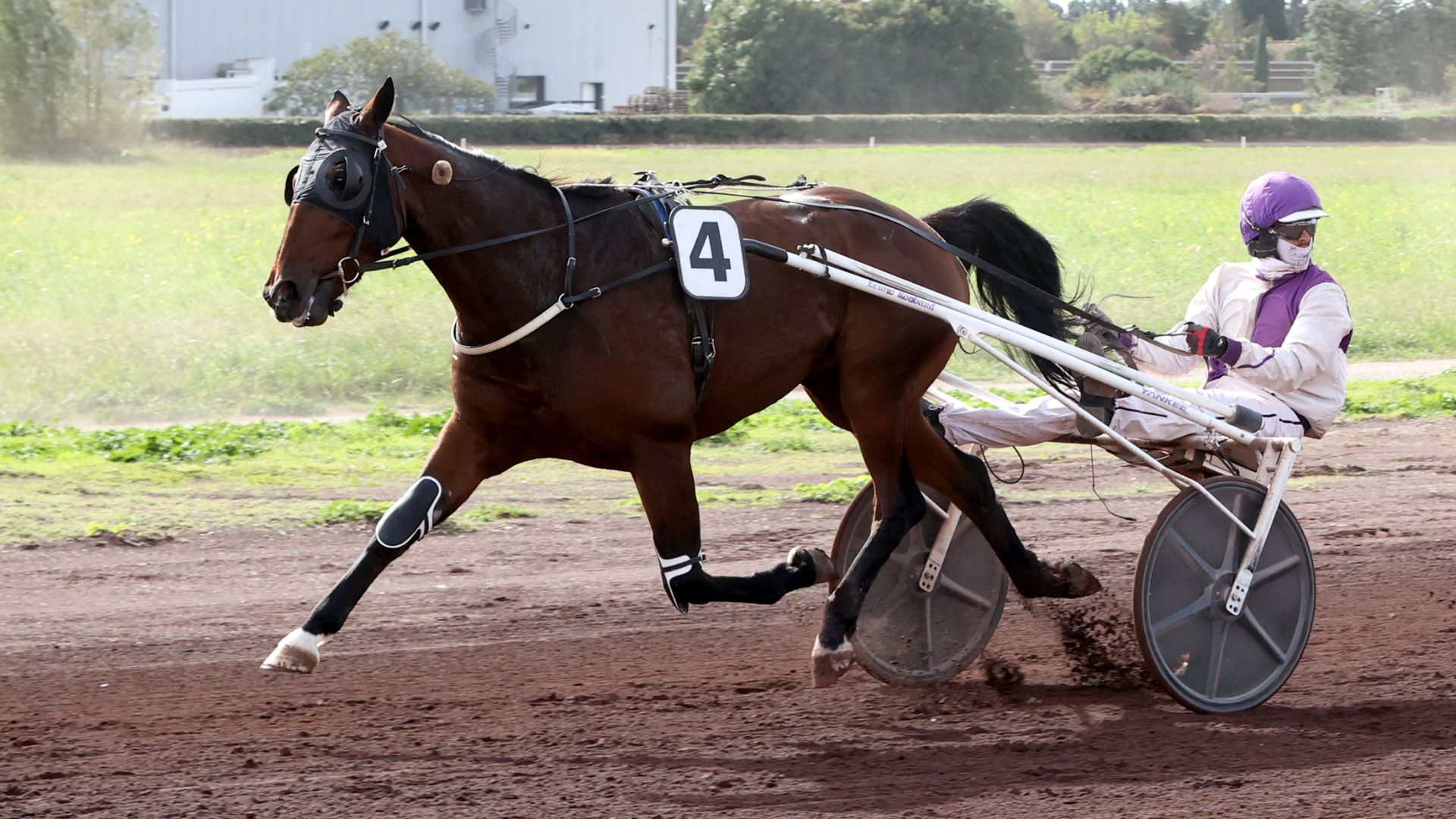 Jackass Latin sans opposant - © Agence Couleur Casaques