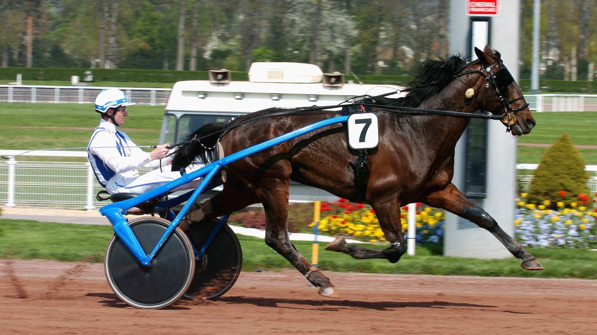 ©Scoopdyga - Jag de Bellouet lors de son triomphe en 2006