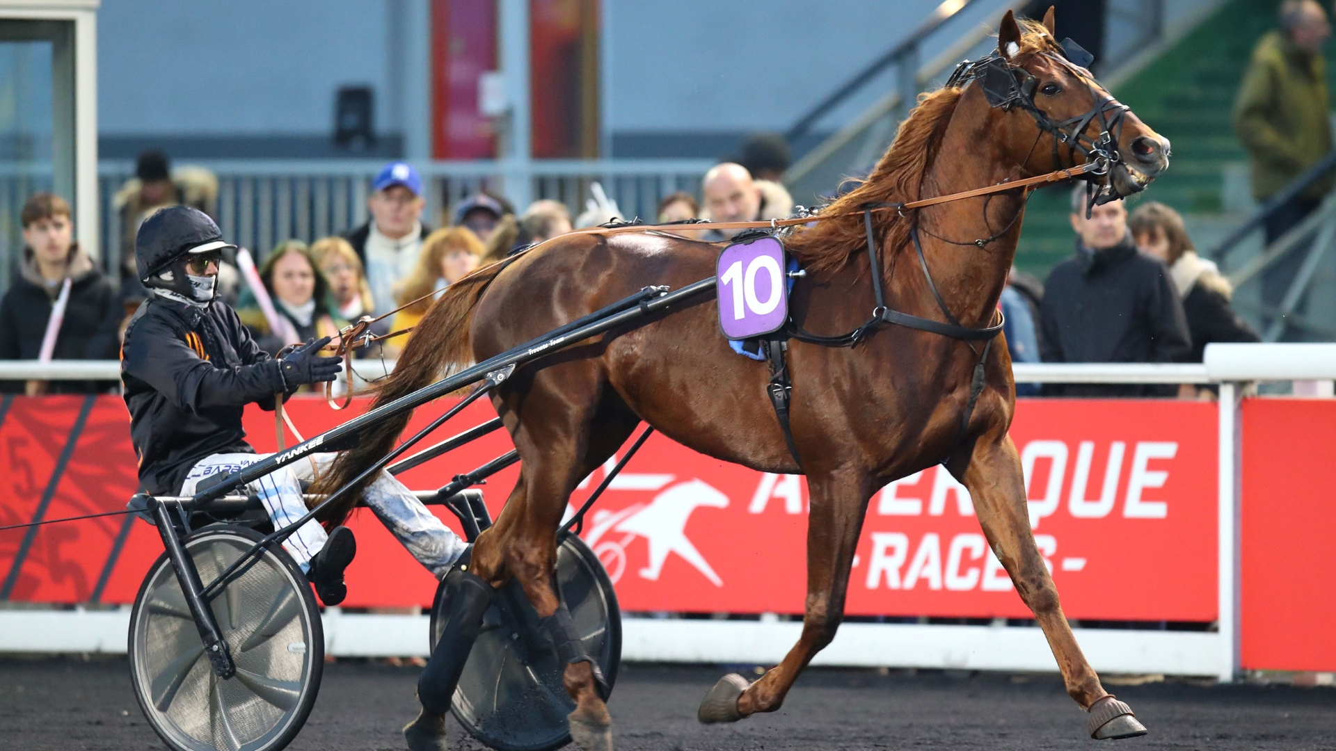 Des 6 ans prêts à sortir les griffes dans le GNT