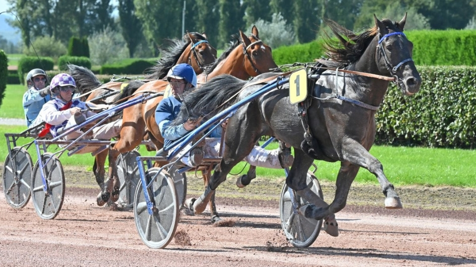 Jakartas des Prés, vainqueur du TETF 2025 - © U. Wild / www.horseracing.ch