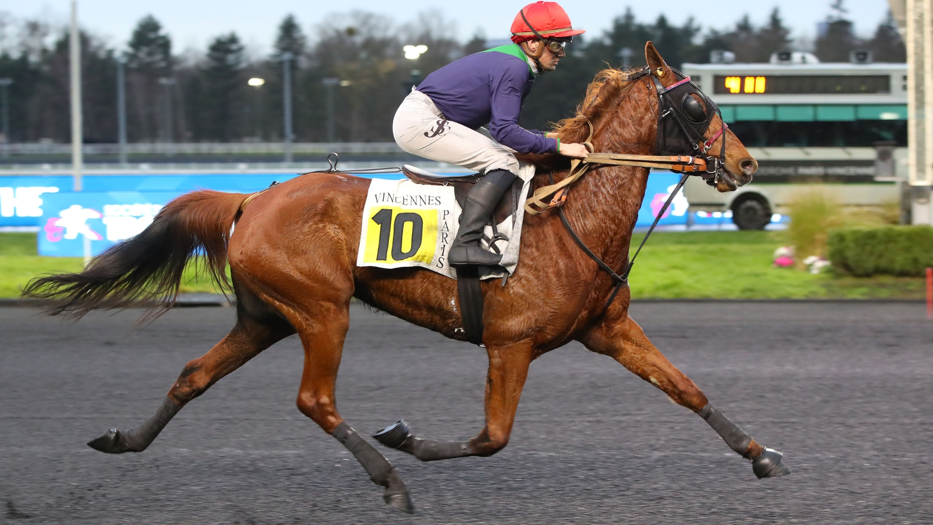 Jamaïca Phédo lors de son dernier succès sous la selle - © Aprh