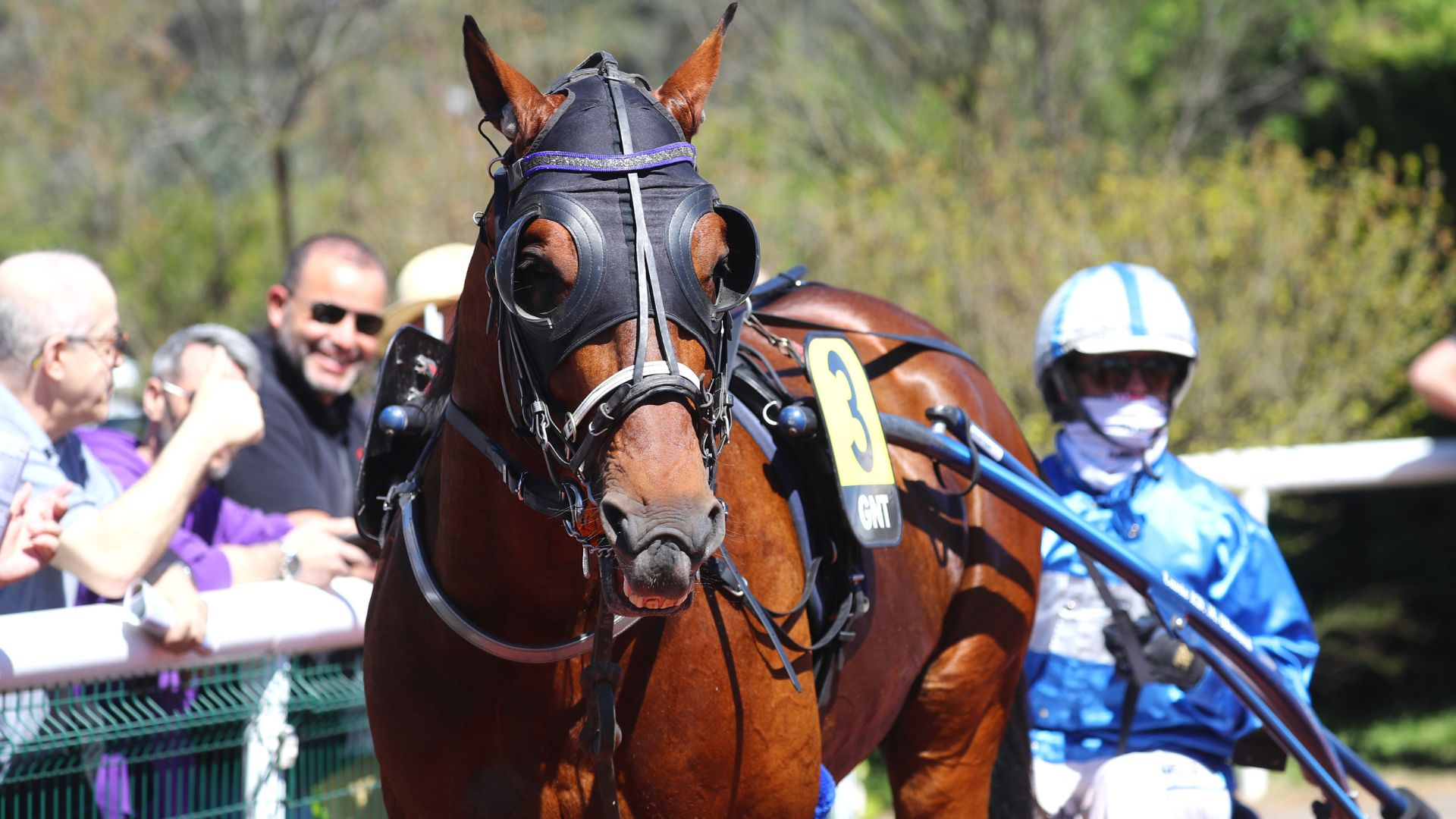 Jappeloup Turgot - ©Aprh