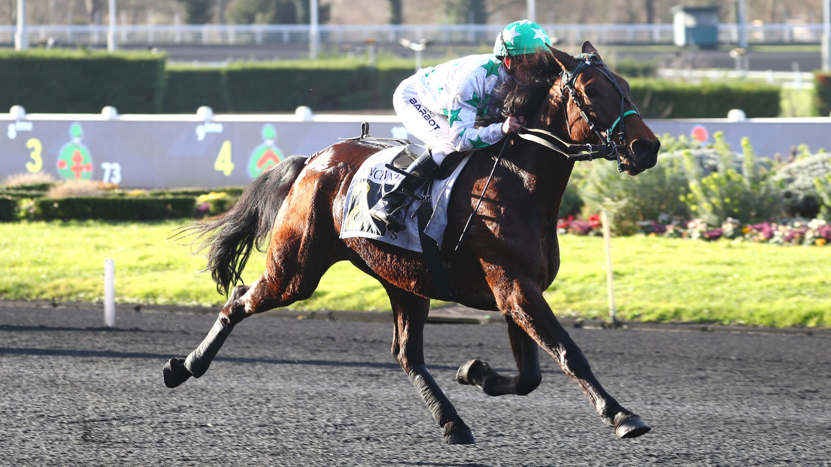 Jasmine de Neuvy - © Aprh