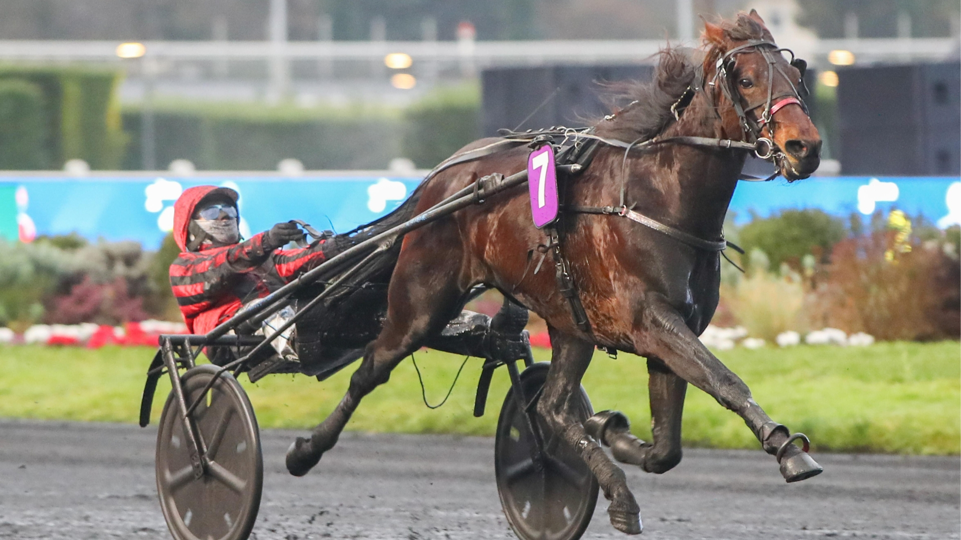 Jazzman - © ScoopDyga