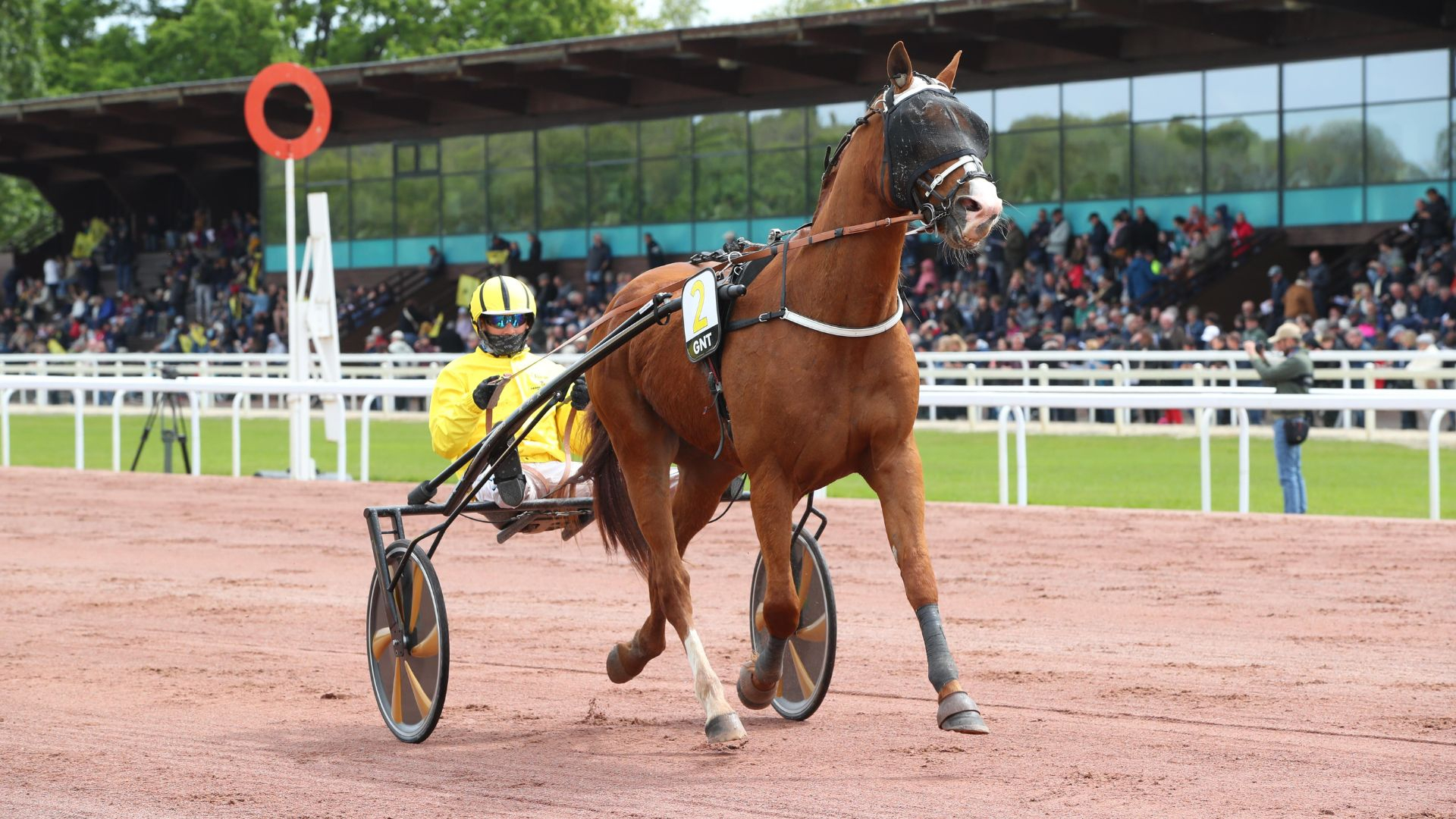 Jentil Dieschoot - ©Aprh