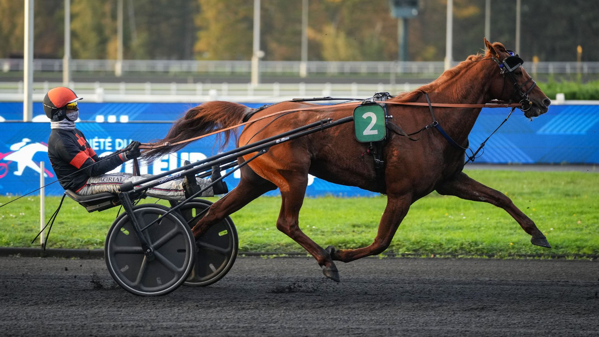 ©Scoopdyga - Jewelcandle Fac