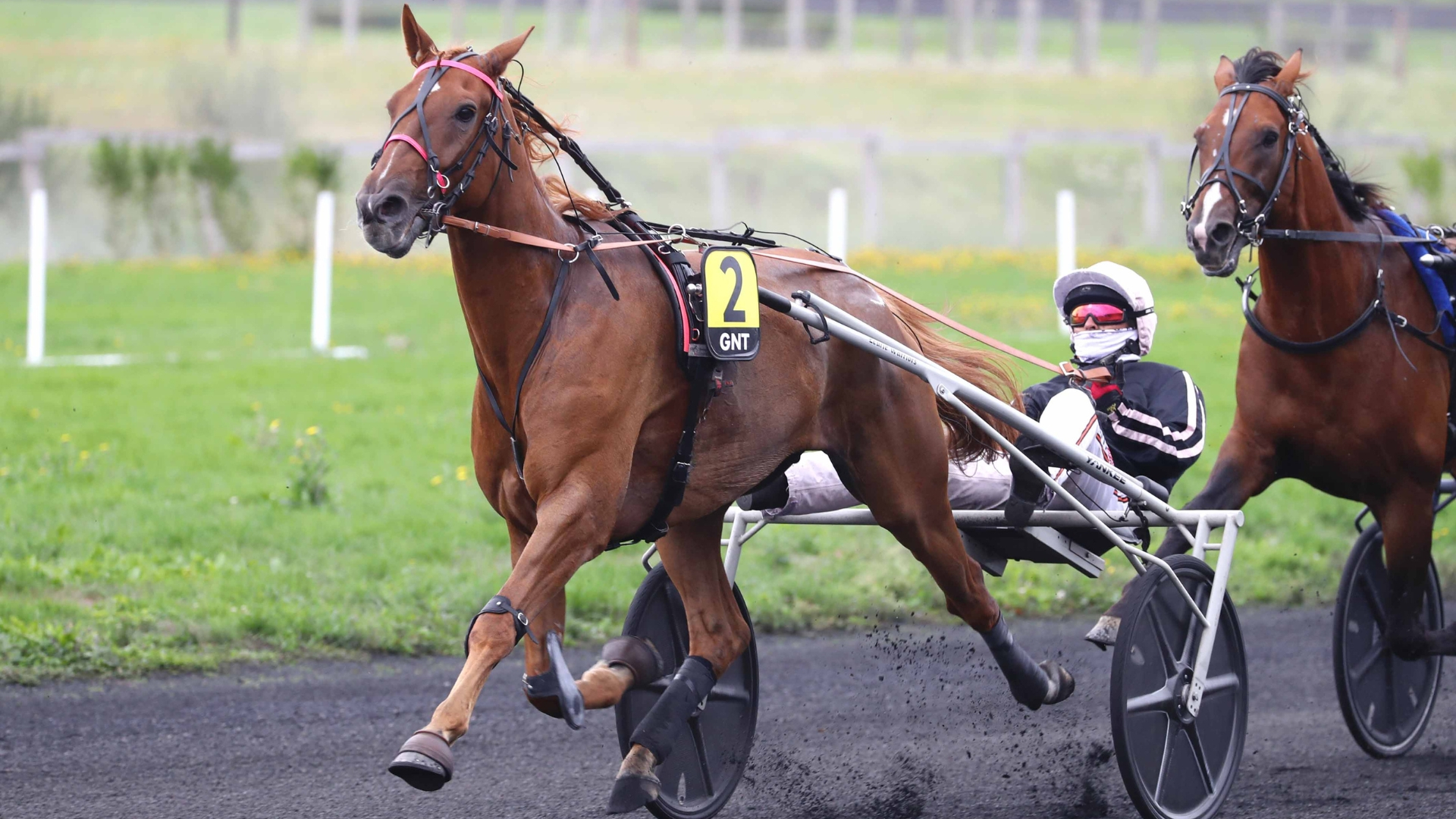 Jilord Viva - © Aprh