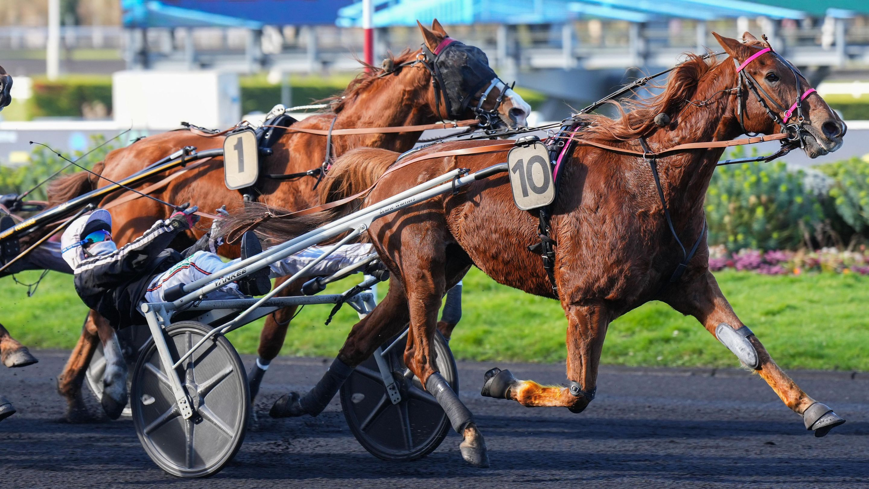 Jilord Viva - © ScoopDyga